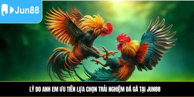 Lý do anh em ưu tiên lựa chọn trải nghiệm đá gà tại Jun88
